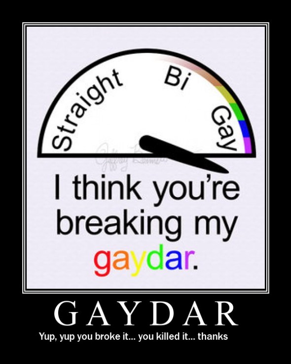gaydar (2)