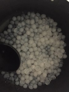 珍珠的親戚(?)---西谷米~~