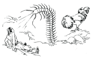 再厲害的蜈蚣也不敵天敵公雞。圖片來源