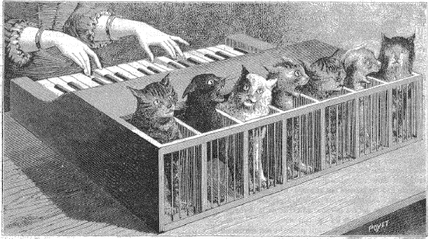cat_piano