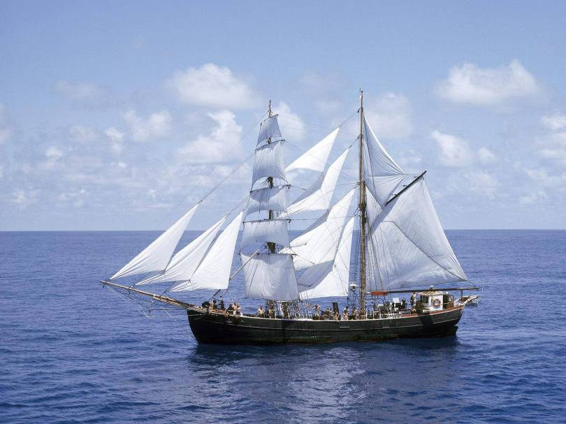 1267029_971458552926548_122040603617020005_o