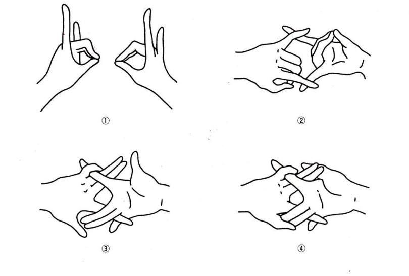 14470384_681575218658112_110647414762936274_n