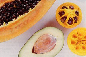 anachronistic_fruits-page2