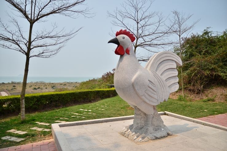 11913299_10205701026859785_382678810_n