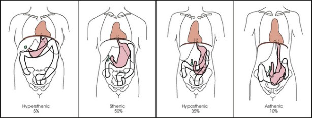 B9780323073226500162_f17-003-9780323073226