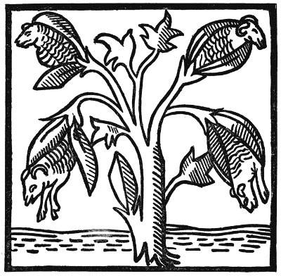 16602883_752454328236867_4415573080345329015_n