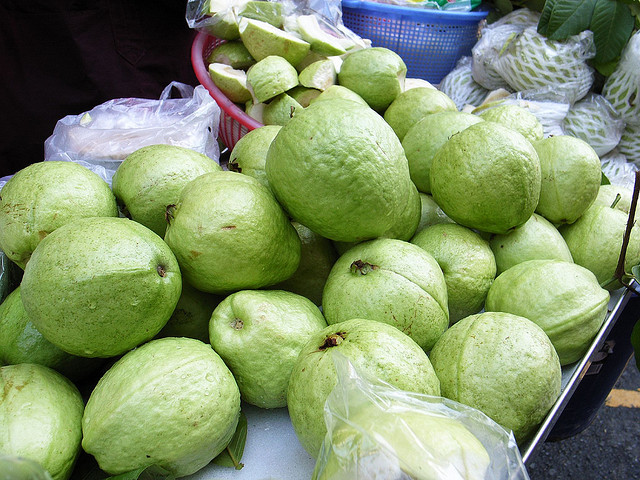 圖片來源：https://www.flickr.com/photos/yu_chuan/2932677811