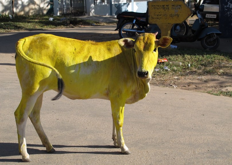 original_83b1b01636b3b6c5f6d0f6bc1be6ece7