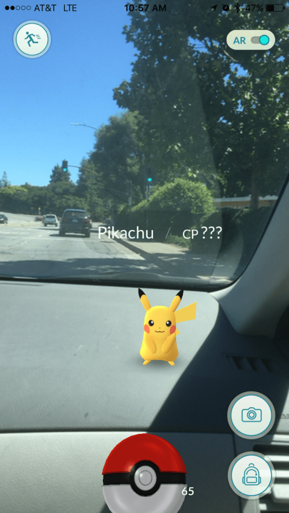 一隻野生的皮卡丘