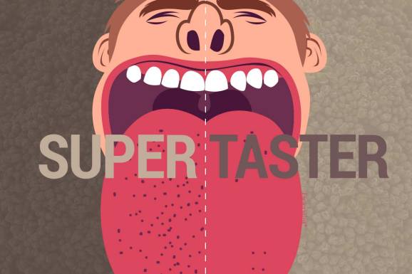 factorialist_taste_supertaster