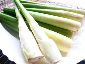 11391185_872961089442962_3239038102695808387_n