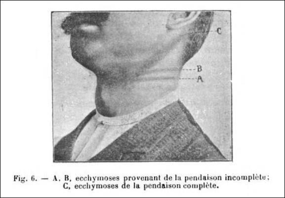 1528542_568598216622480_8629209896054161391_n