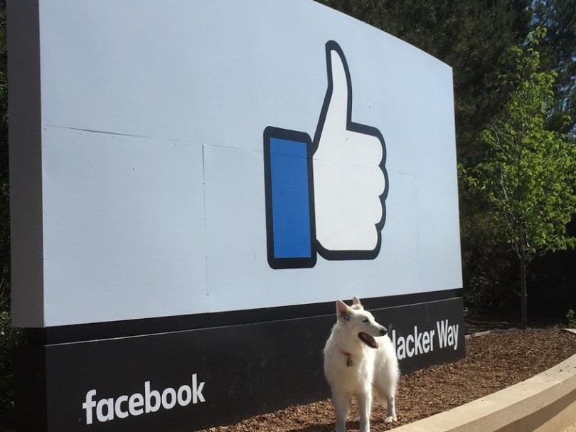 發源於哈佛大學的facebook 公司，現今總部設於矽谷的 Menlo Park，其「讚」字招牌，是每個路過矽谷的遊客都一定要到此一遊「打卡」一下的地標，