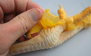 peeling-chicken-feet-1024x640